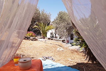 Atmosphère relaxante à Andromeda de Sifnos